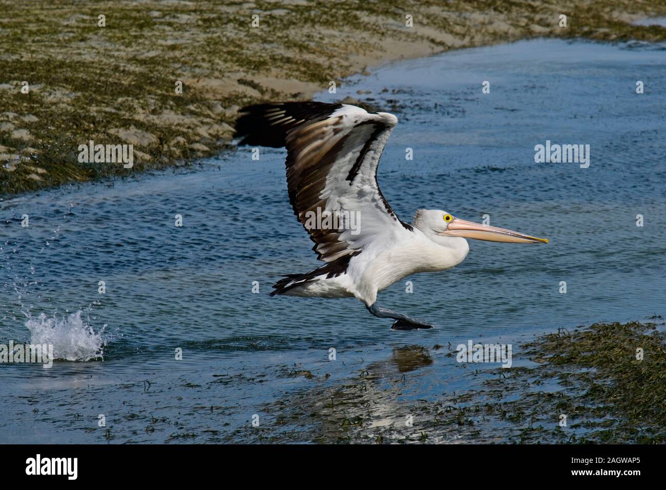 Heben ab! Stockfoto