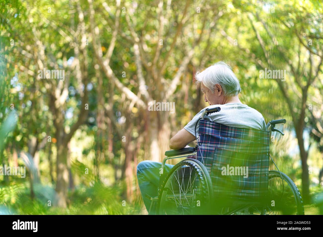 Ansicht der Rückseite des asiatischen älterer Mann sitzt draußen im Rollstuhl Stockfoto