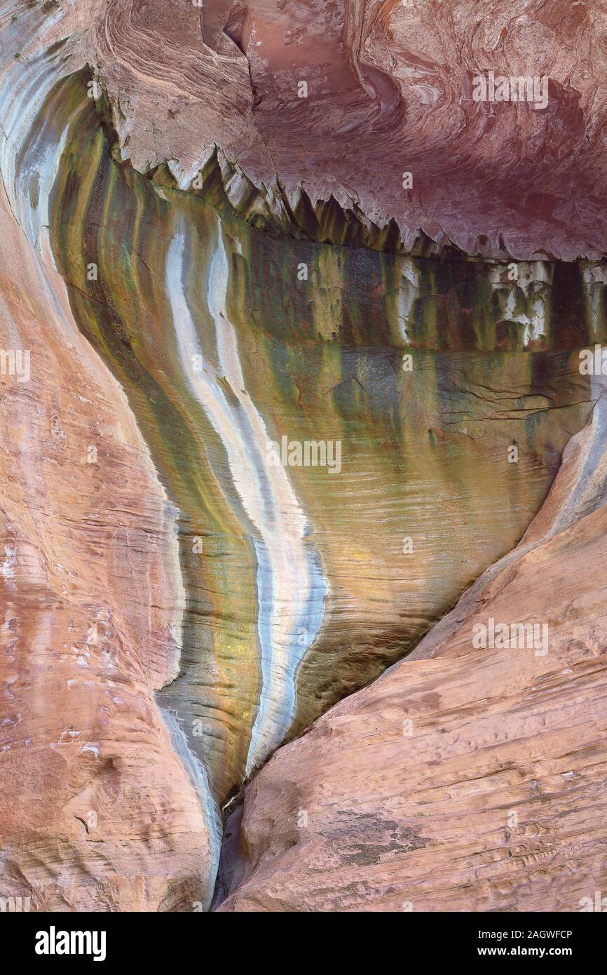 Weinend Alkoven, Kolob Canyons, Zion National Park, Utah Stockfoto