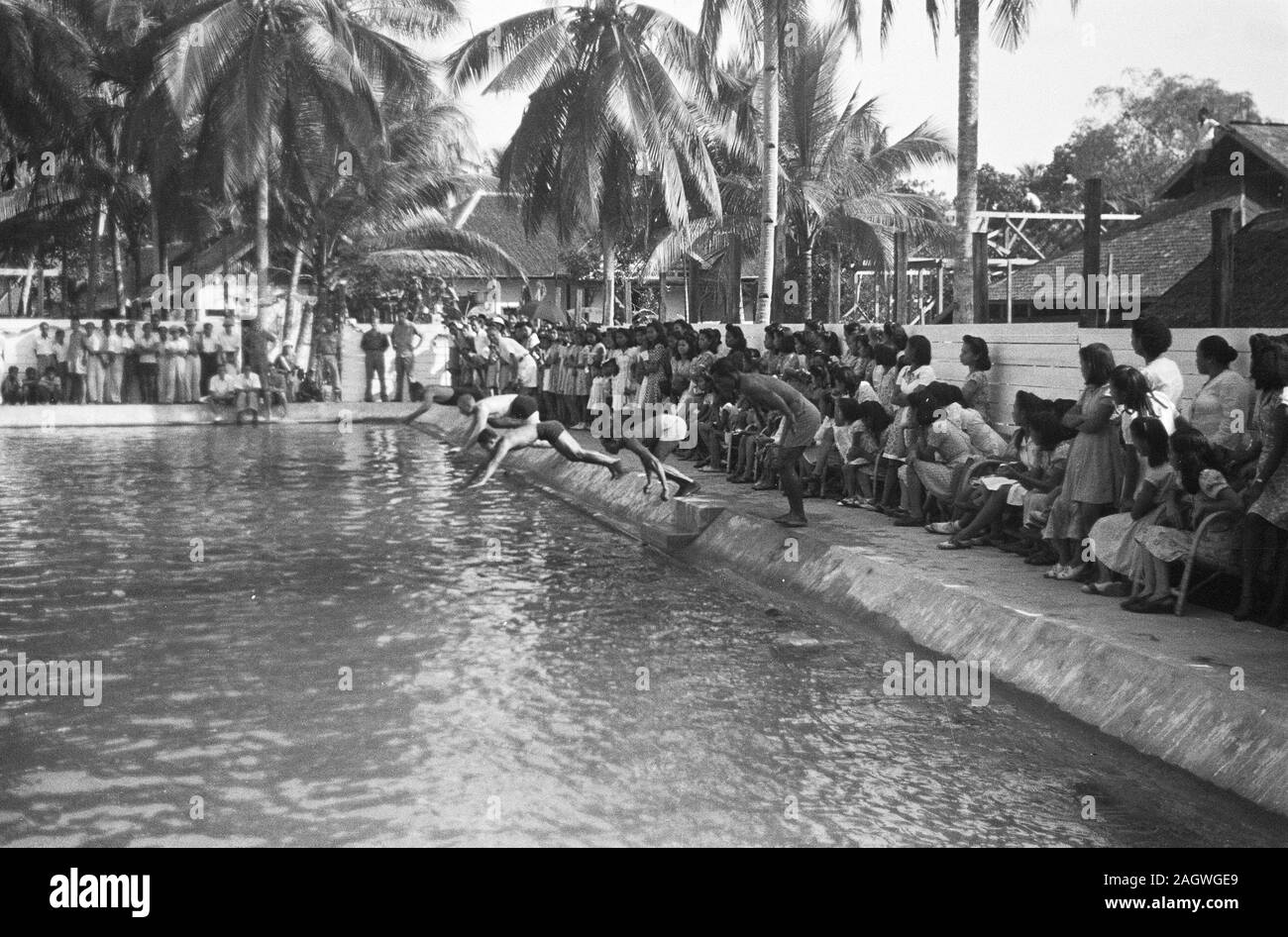 Schwimmen Wettkämpfe; Datum September 1948; Standort Indonesien, Niederländisch Ostindien Stockfoto
