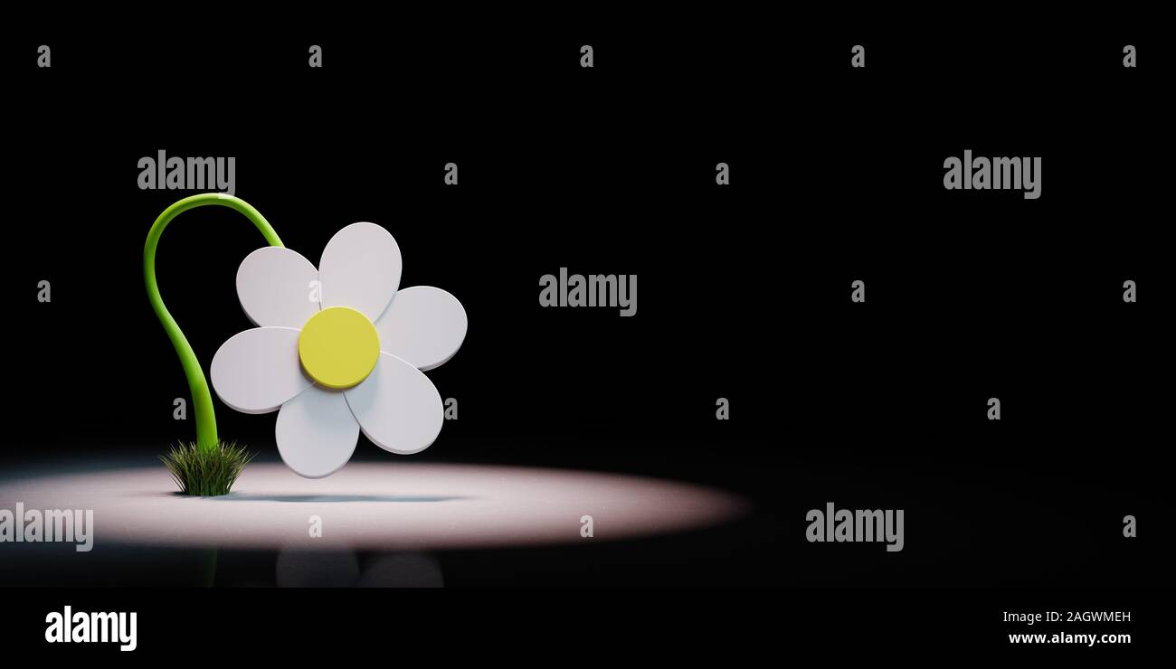 White Cartoon Daisy Flower 3D-Form mit Progress Spotlight gefundenen auf schwarzen Hintergrund mit Kopie Raum 3D-Darstellung Stockfoto