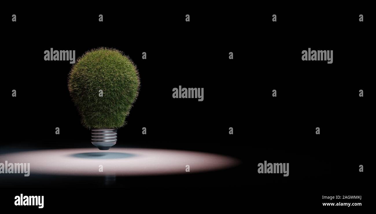 Grasbewachsene Glühbirne angestrahlt auf schwarzen Hintergrund mit Kopie Raum 3D-Darstellung Stockfoto