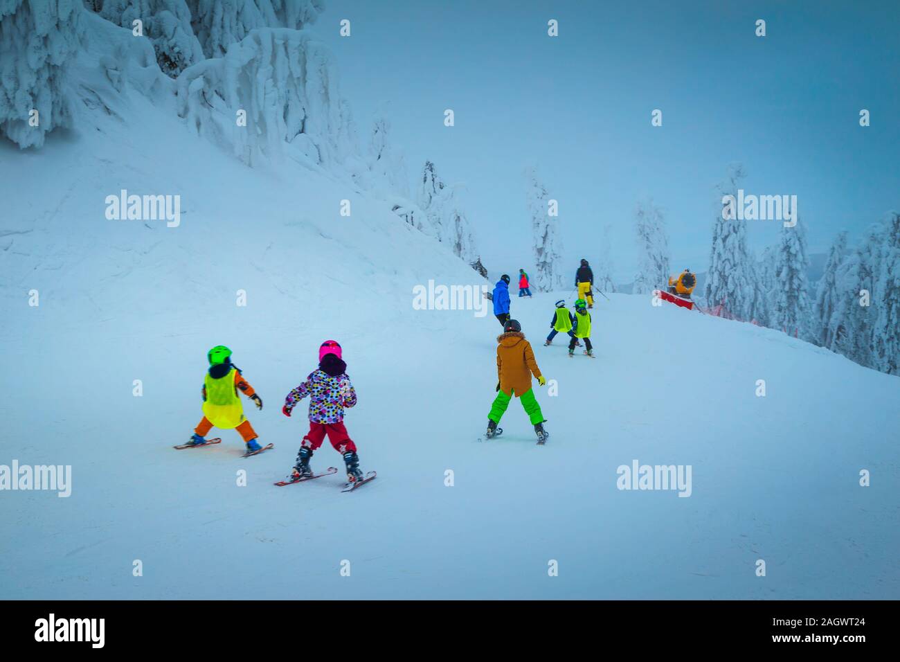 Majestätischen schneebedeckten Bäumen und Winter Skigebiet. Active Kids Skifahrer Skifahren abwärts im beliebten Poiana Brasov Ski Resort, Siebenbürgen, Rumänien, Euro Stockfoto