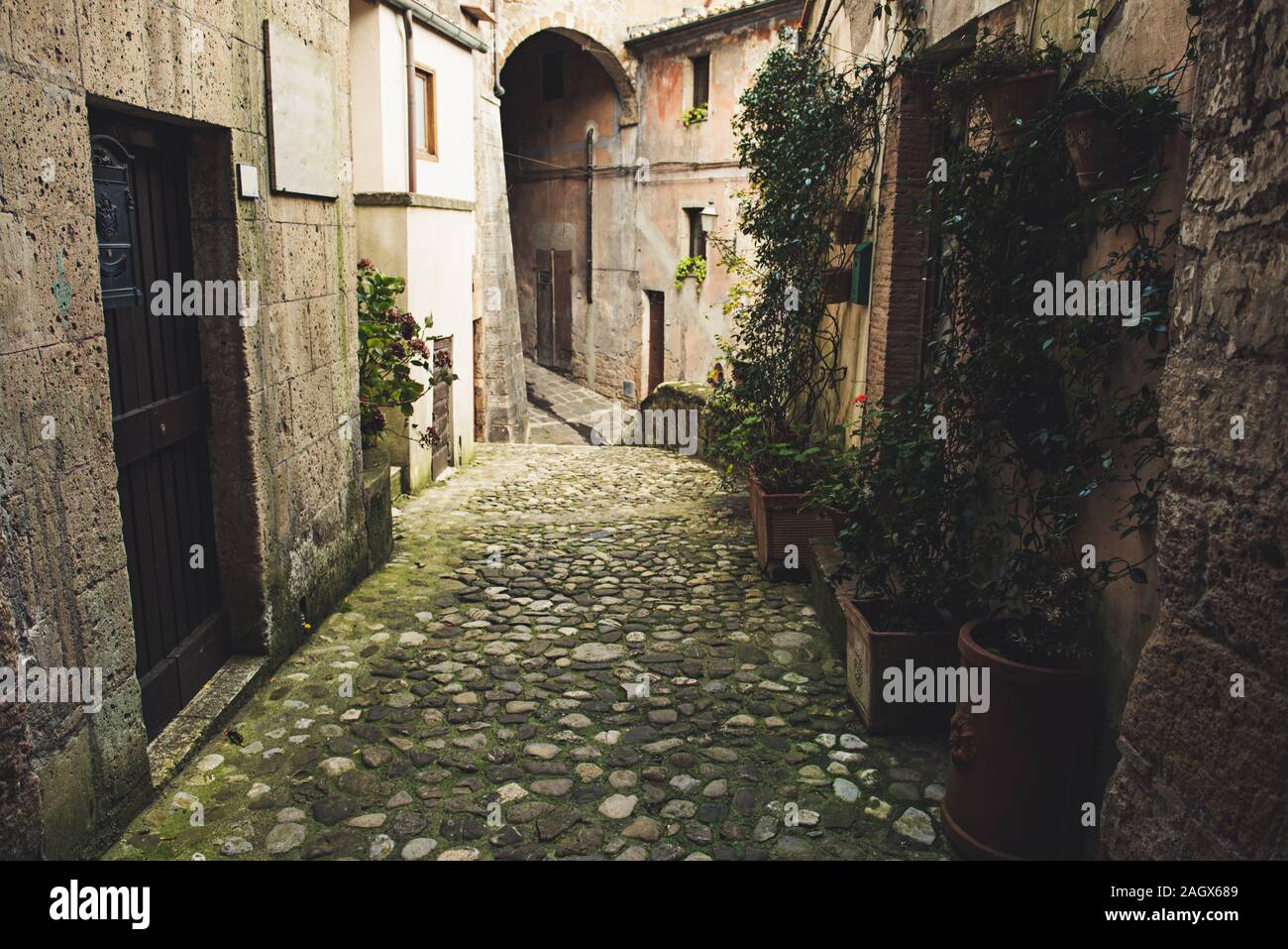 Gasse der mittelalterlichen alten Tuff City Sorano mit grünen Pflanzen und Kopfsteinpflaster, Reisen Italien Hintergrund Stockfoto