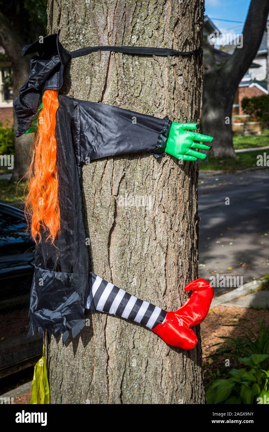 Halloween Dekoration, in einem Garten, Chicago, Illinois, USA Stockfoto