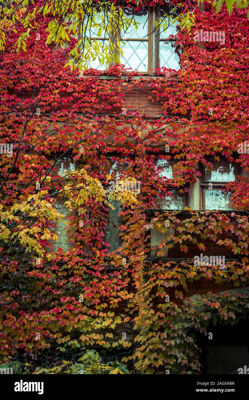 Hyde Park, Chicago, Illinois, USA Stockfoto