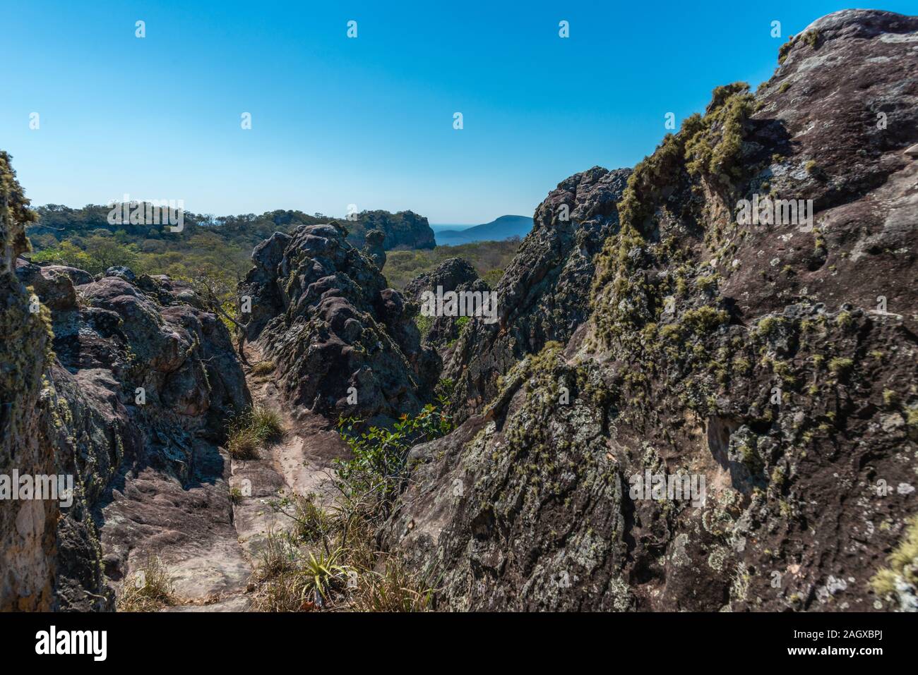 Parque Histórico oder Historische Park Valle de la Luna oder Moon Valley, San José de Chiquitos, Jesuitenmission, östliche Tiefland, in Bolivien, in Lateinamerika Stockfoto