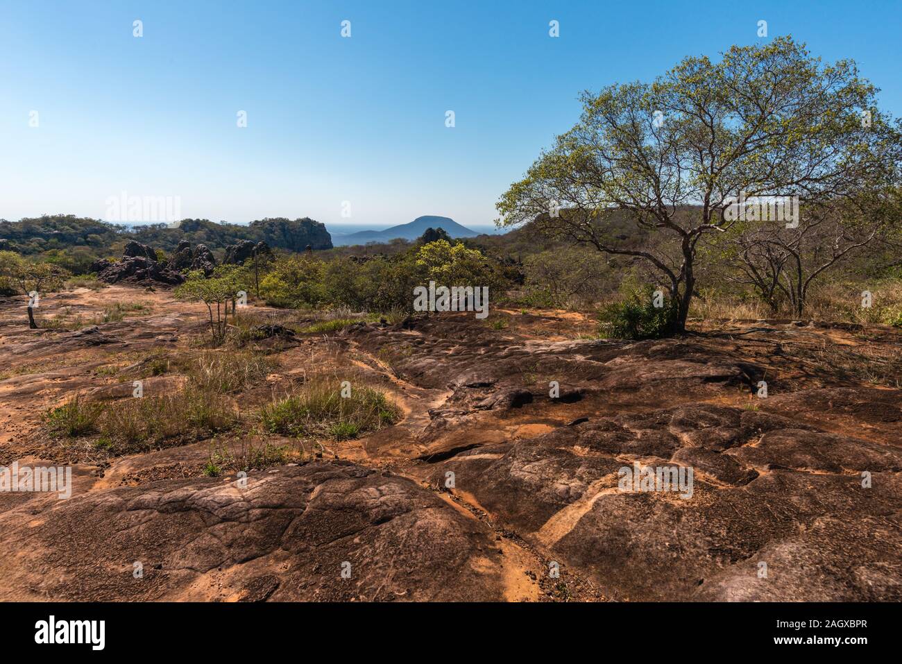 Parque Histórico oder Historische Park Valle de la Luna oder Moon Valley, San José de Chiquitos, Jesuitenmission, östliche Tiefland, in Bolivien, in Lateinamerika Stockfoto