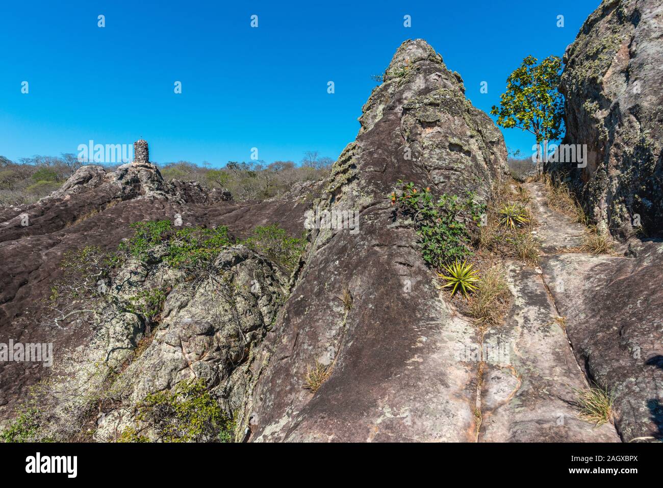 Parque Histórico oder Historische Park Valle de la Luna oder Moon Valley, San José de Chiquitos, Jesuitenmission, östliche Tiefland, in Bolivien, in Lateinamerika Stockfoto