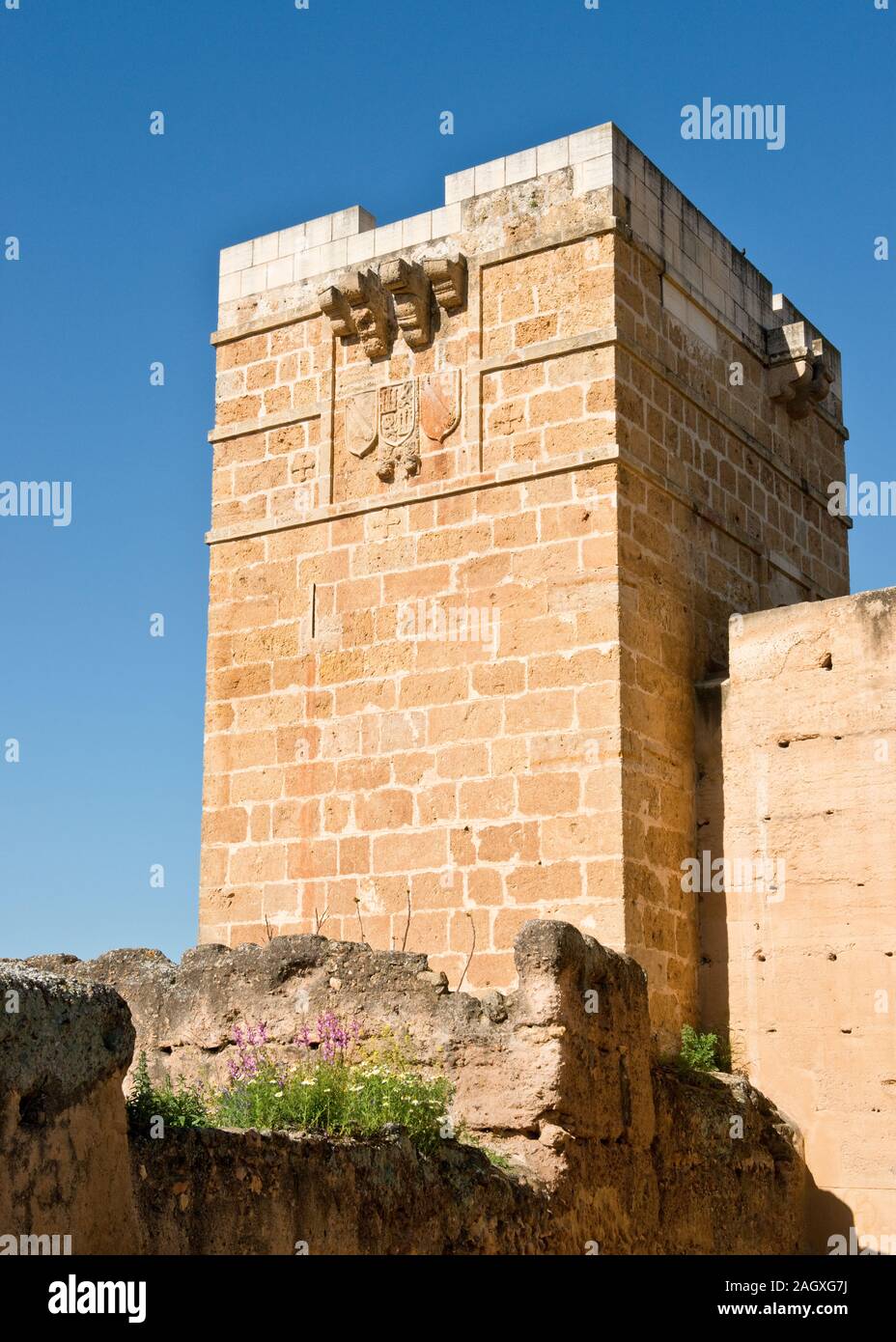 Wappen Emblem auf spanischem Burgturm. Castillo de Alcalá de Guadaíra. Andalusien, Südspanien, Europa Stockfoto