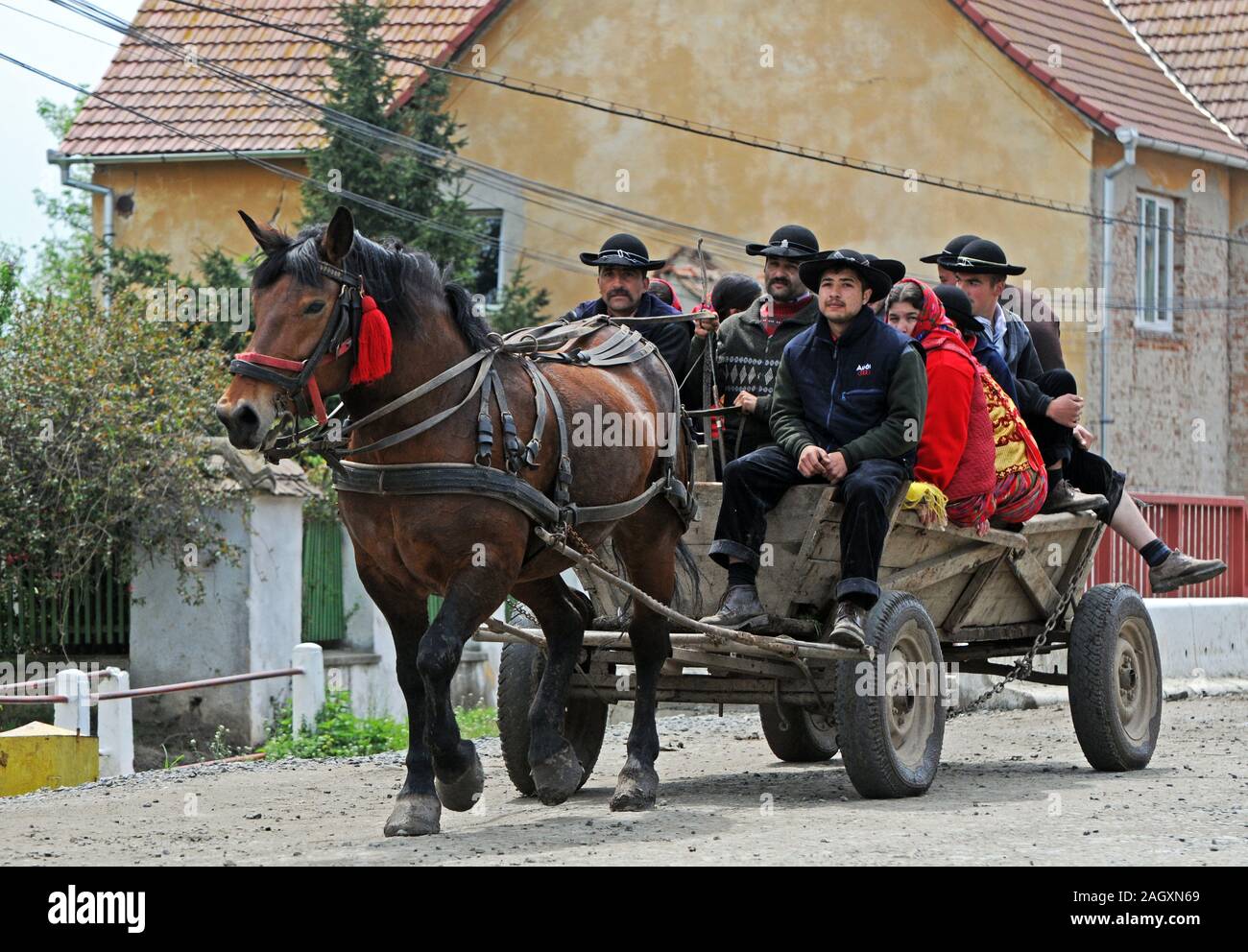 Gipsy Familie auf einem Pferd Wago, Rumänien Stockfoto