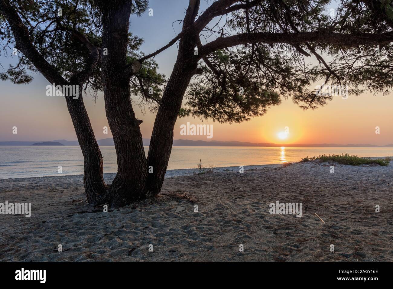 Strand in der Nähe von Paragga Glarokavos Strand in Halbinsel Kassandra. Chalkidiki, Griechenland Stockfoto