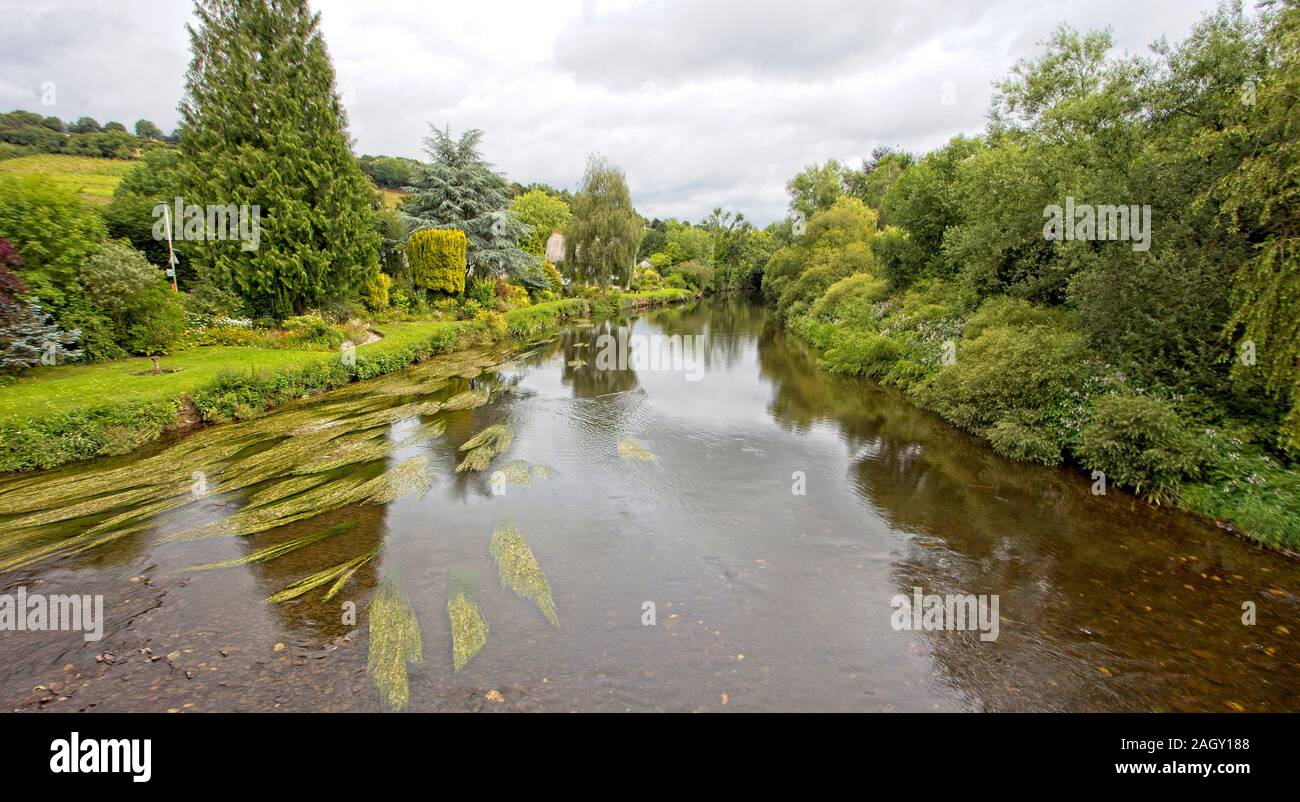 Der Fluss Exe in Bickleigh, Devon, England, UK. (HDR) Stockfoto