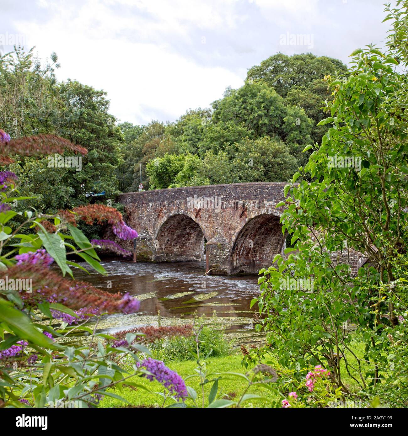 Die antike Steinbrücke über den Fluss Exe an Bickleigh, Devon, England, UK. (HDR) im Jahre 1809 erbaut. Stockfoto