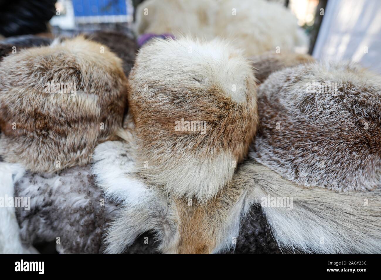 Pelz Hüte und andere Tiere Felle auf Ausstellung bei einem Bauern in Bukarest, Rumänien. Stockfoto