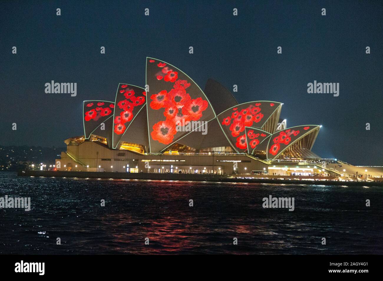 Sydney Opera House mit Mohn Licht Show am Abend für Tag der Erinnerung, oder Armistice Day, am 11. November; Sydney, Australien Stockfoto