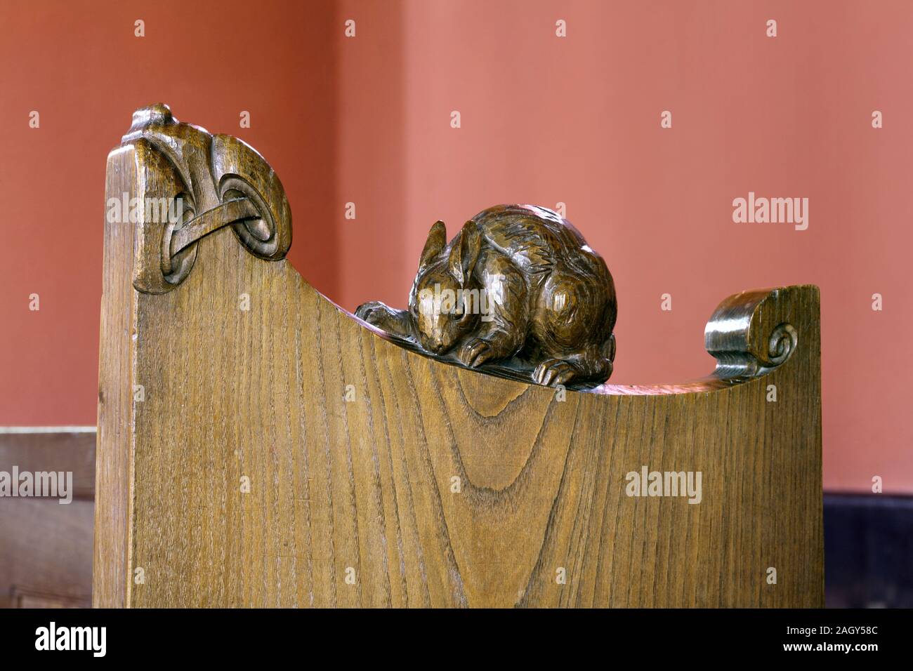 Eine aus Holz geschnitzte Eichhörnchen auf einem Chorgestühl, in der St. Mark's Church, Brithdir, in der Nähe von Dolgellau, Wales. Stockfoto