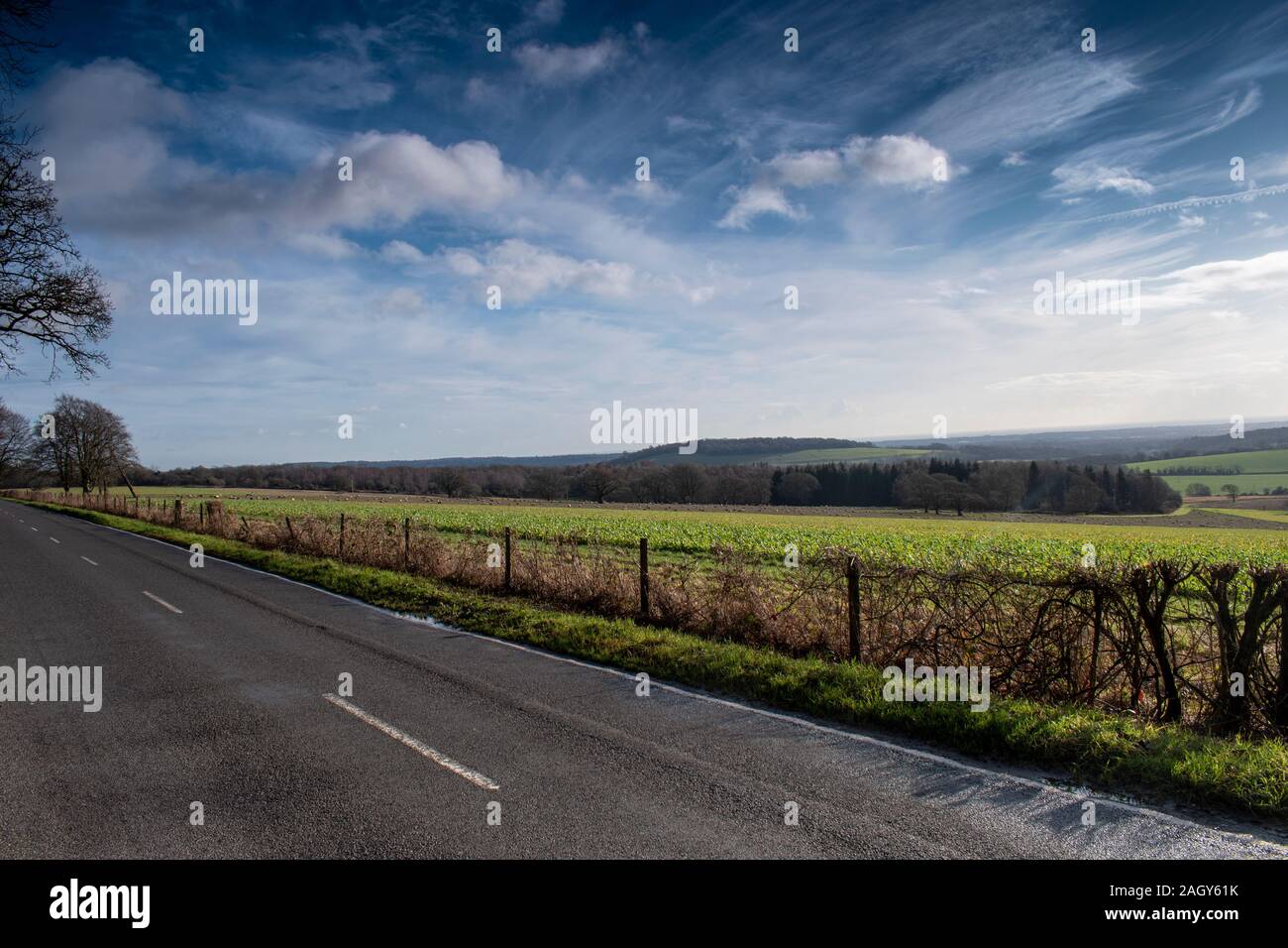 West Sussex England Landschaft an einem klaren und sonnigen Dezember Tag. Suchen von Selhurstpark Straße in Richtung Littlehampton. Stockfoto