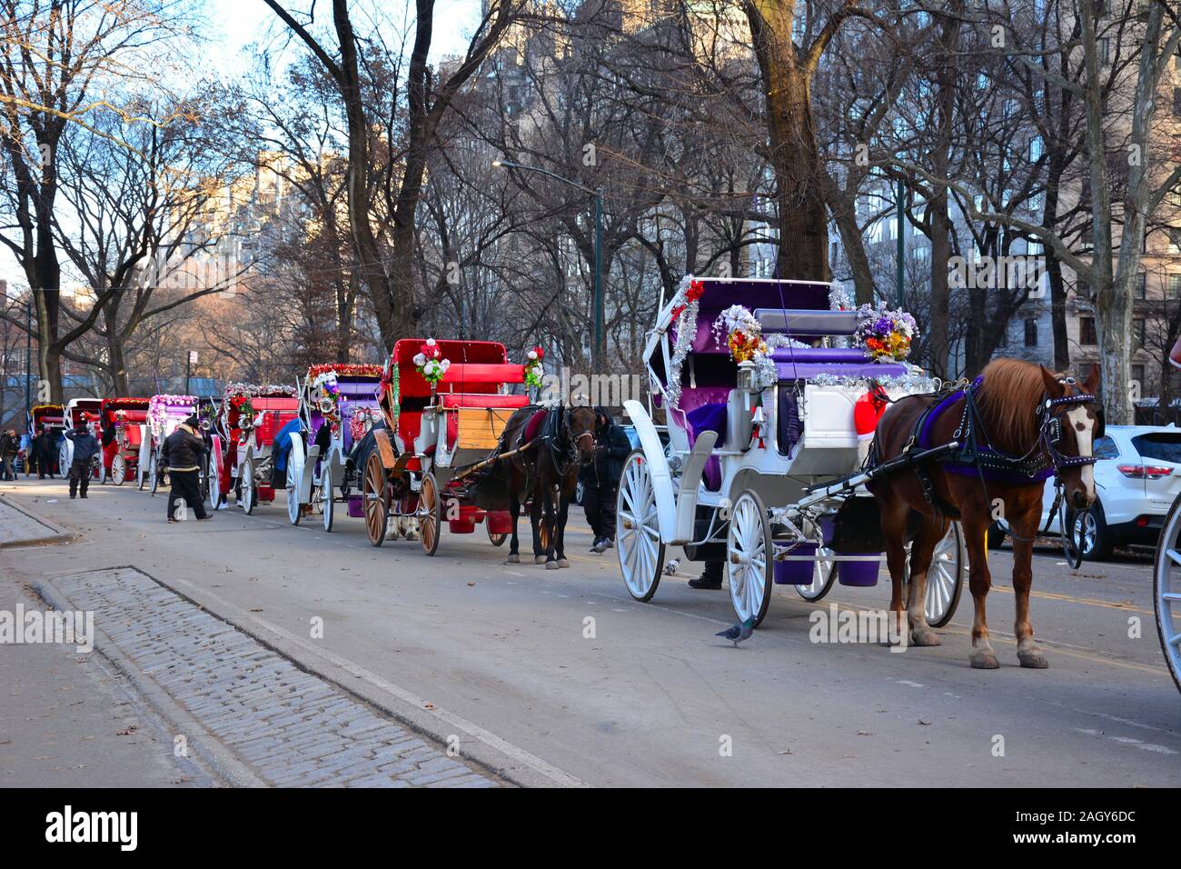 Central Park Horse and Carriage Stockfoto