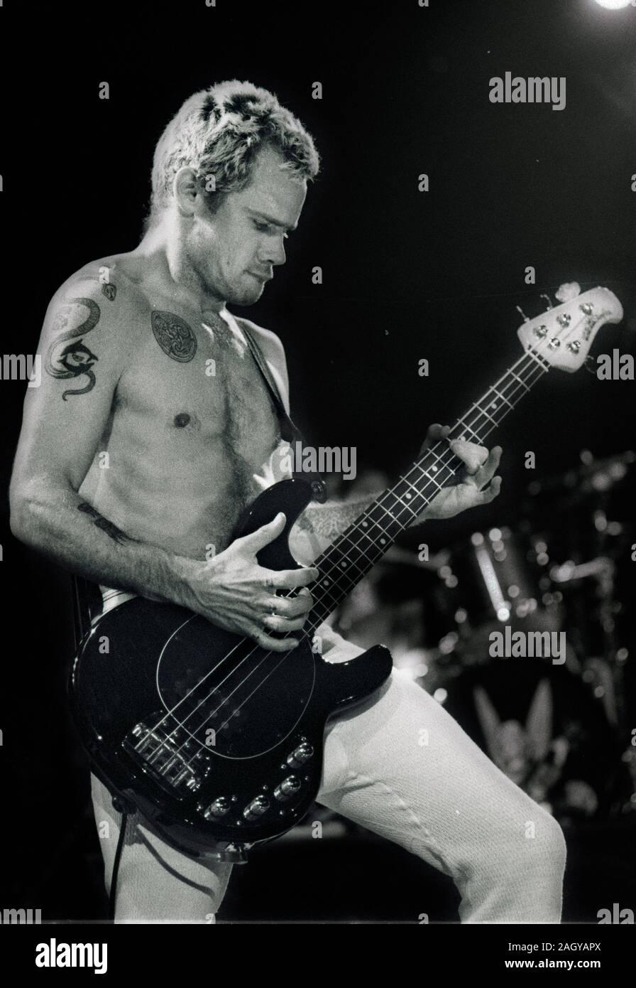 Red Hot Chili Peppers Flea (Michael Peter Balzary) am großen Holz, Mansfield Ma, USA 1992 Foto von Bill belknap Stockfoto