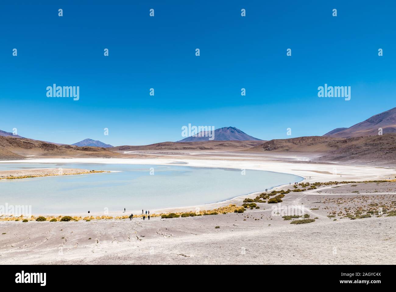 Laguna Honda, bolivianische Altiplanic Lgoon, Bolivien Stockfoto