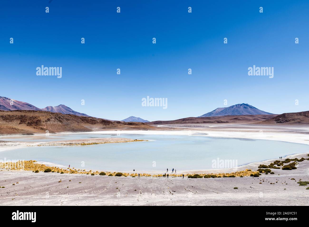 Laguna Honda, bolivianische Altiplanic Lgoon, Bolivien Stockfoto