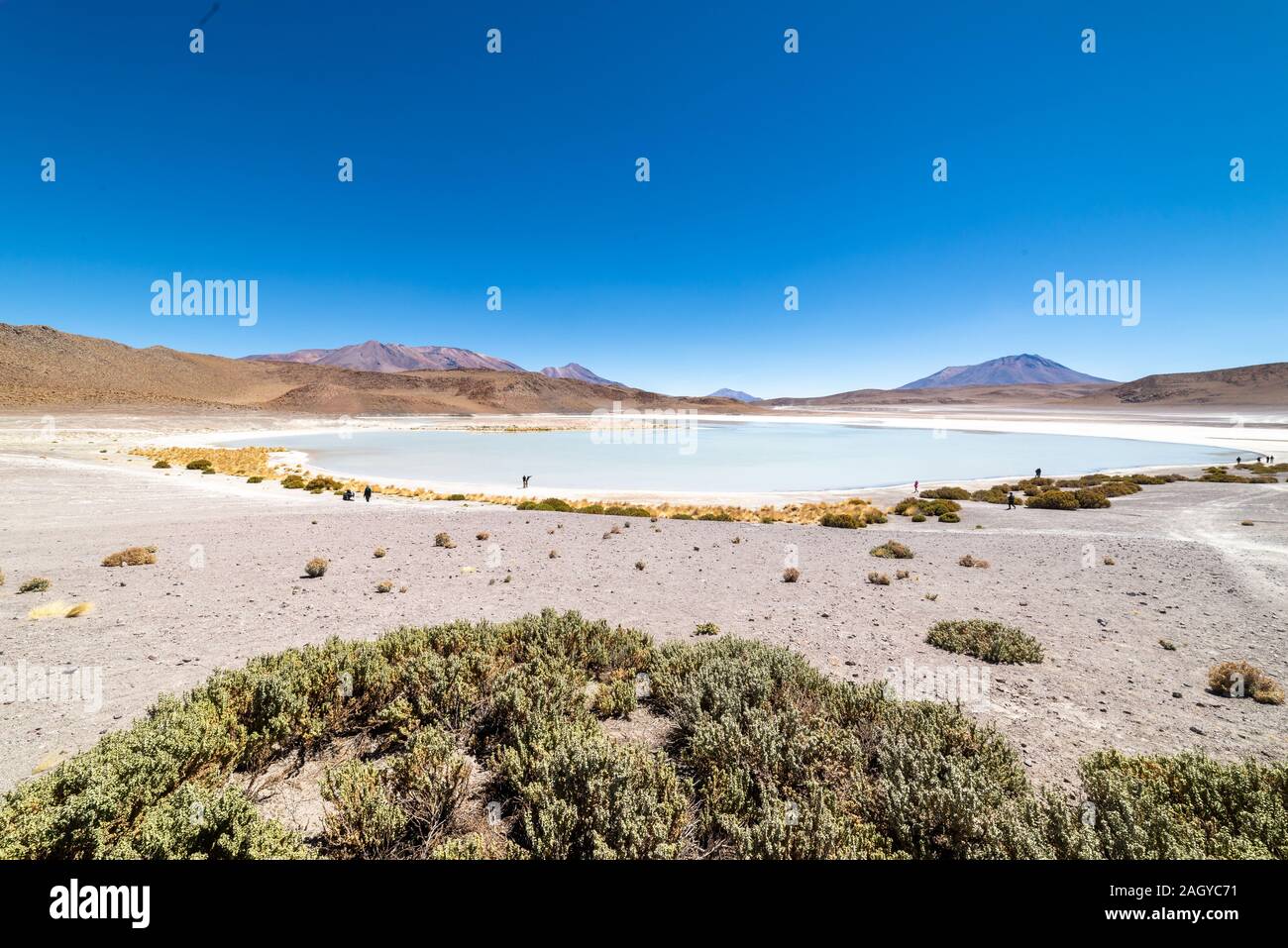 Laguna Honda, bolivianische Altiplanic Lgoon, Bolivien Stockfoto