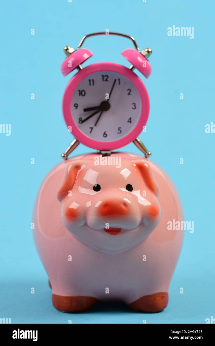 Kasse mit finanziellen Einkommen. Keramik Spielzeug Schwein mit rosa  Stoppuhr auf cyan blau unterlegt ist. Sparschwein mit retro Wecker.  Zeitaufwand Konzept Stockfotografie - Alamy