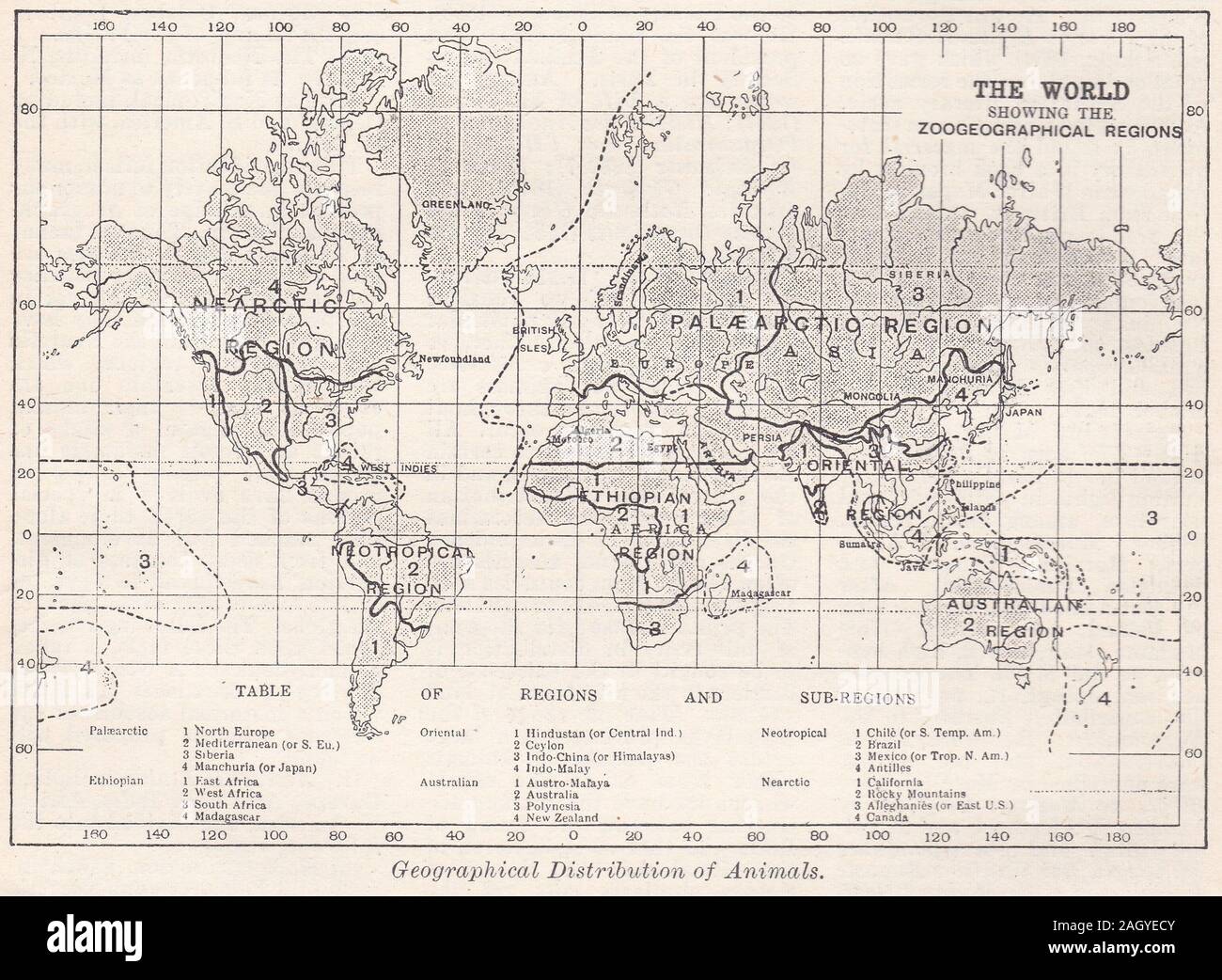 Vintage Karte der Welt, die geografische Verteilung der Tiere. Stockfoto