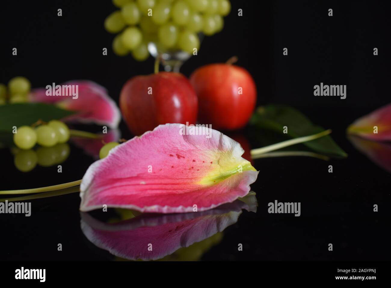 Stillleben mit magenta Lilien Stockfoto