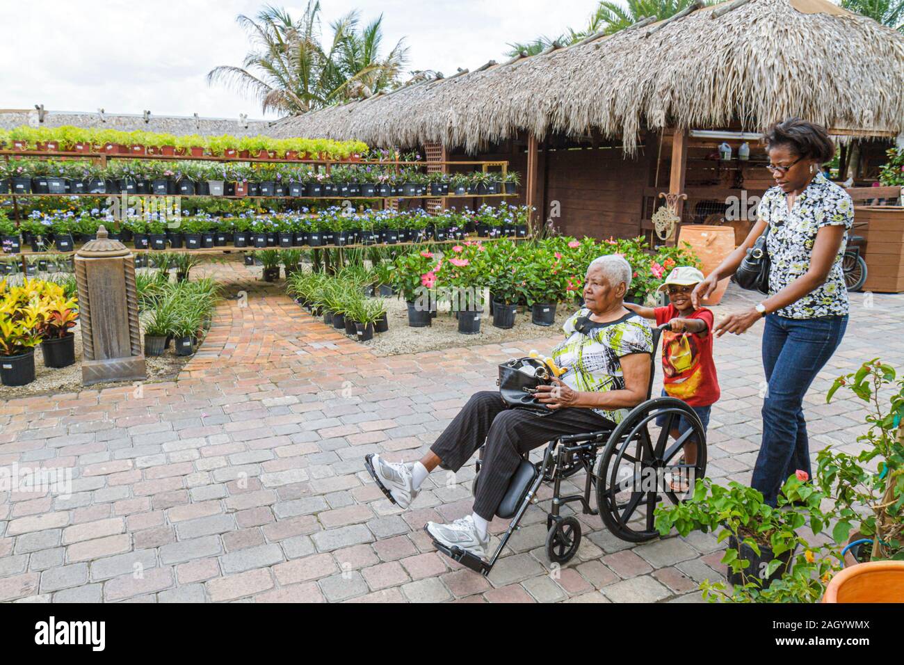 Fort Ft. Lauderdale Florida, Tropical Touch Garden Center, Kinderzimmer, Schwarze Afrikanische Afrikaner ethnische Minderheit, ältere Senioren alte Bürger Bürger Stift Stockfoto