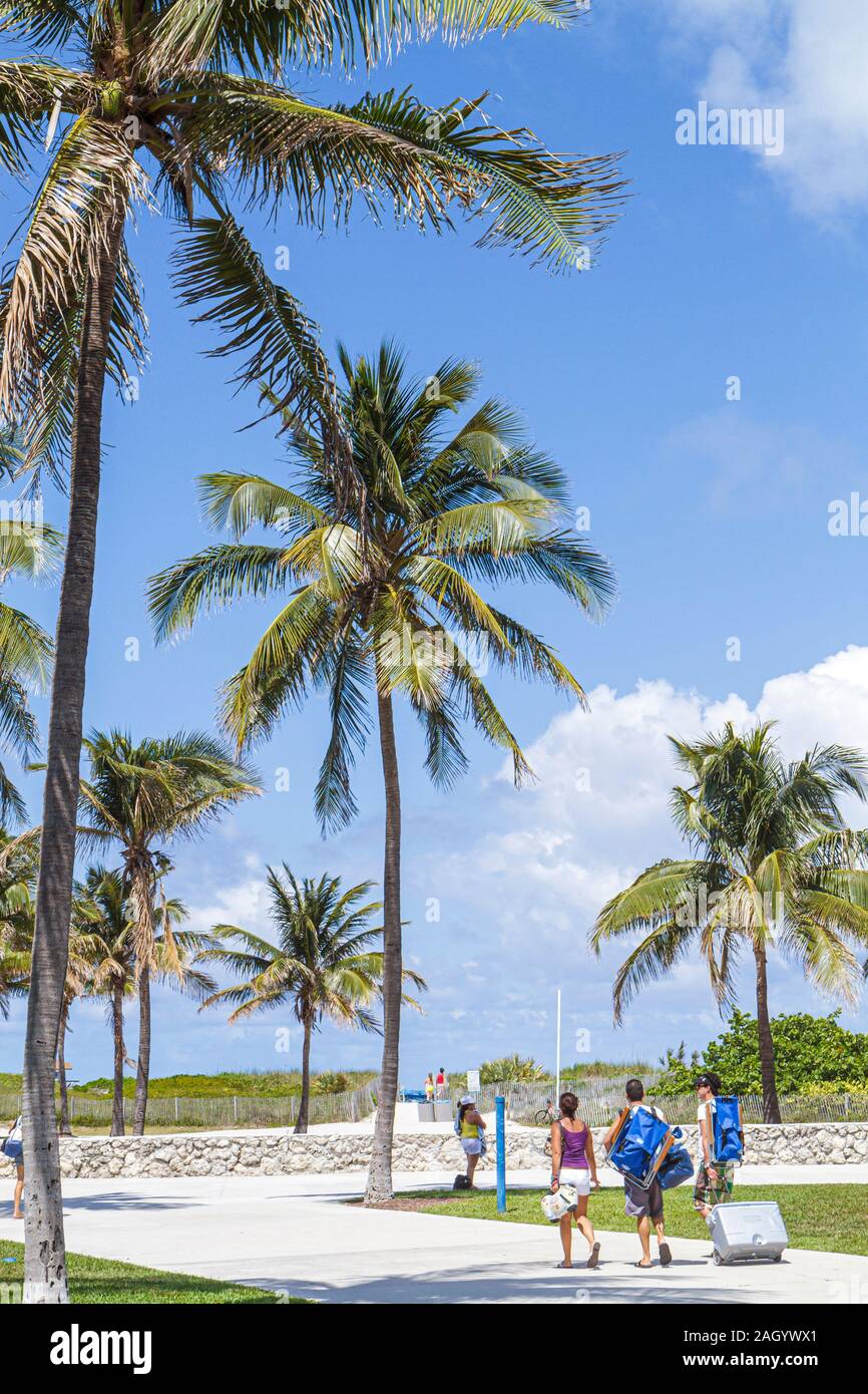Miami Beach Florida, Lummus Park, Palmen, Besucher reisen Reise Reise Tourismus Tourismus Wahrzeichen Kultur Kultur Kultur, Urlaub Gruppe Menschen pe Stockfoto