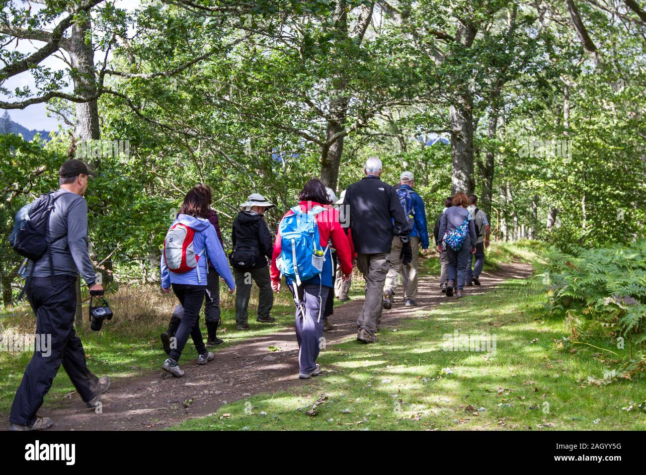 Perthshire Schottland - 11. September 2019: Tour Gruppe Wandern im faskally Wald in den schottischen Highlands, Großbritannien, 11. September, 2019 Stockfoto