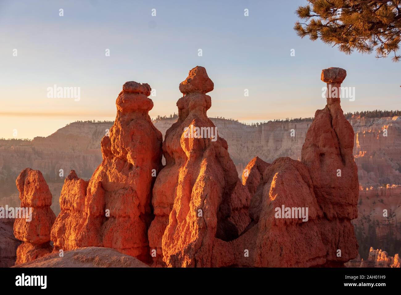 500 px Bild-ID: 1007967127 - rund um Wandern im Bryce Canyon Stockfoto
