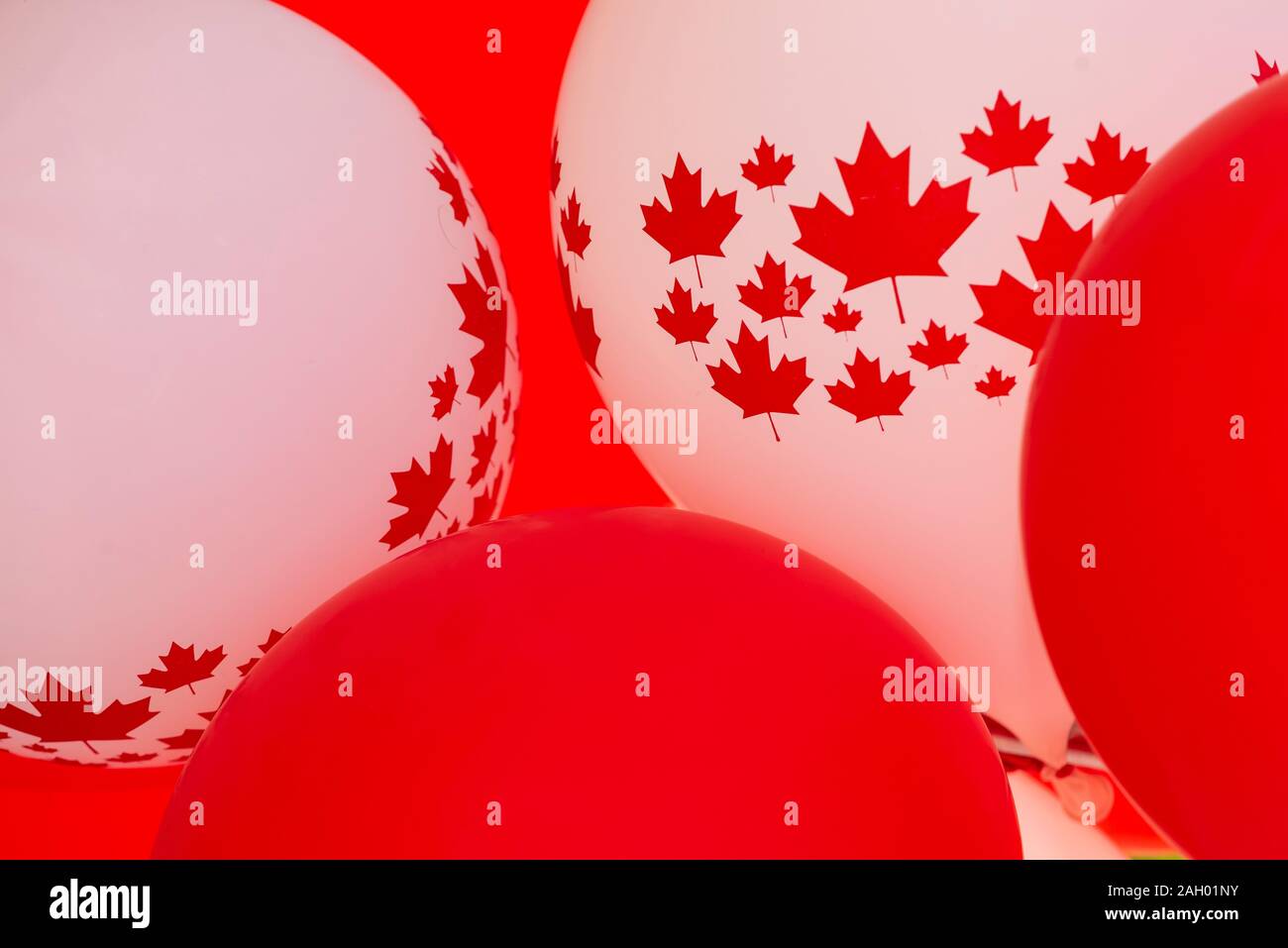 Rote und weiße Luftballons mit Maple Leaf und Kanadische Fahne dekoriert, symbolisch für Kanada Tag gefeiert wird jedes 1. Juli Stockfoto