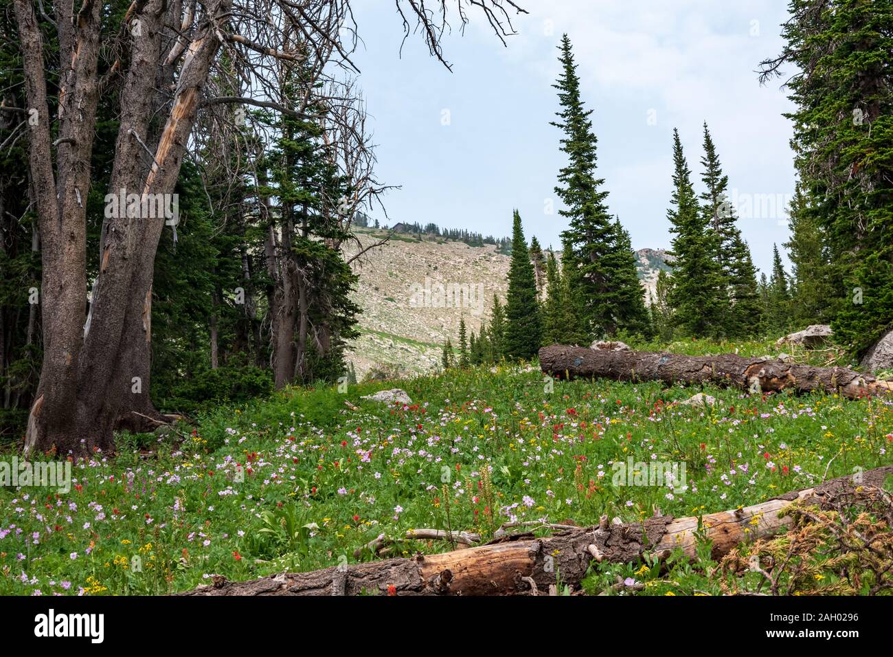 500 px Bild-ID: 1007883591 - Wandern rund um in den Tetons Stockfoto