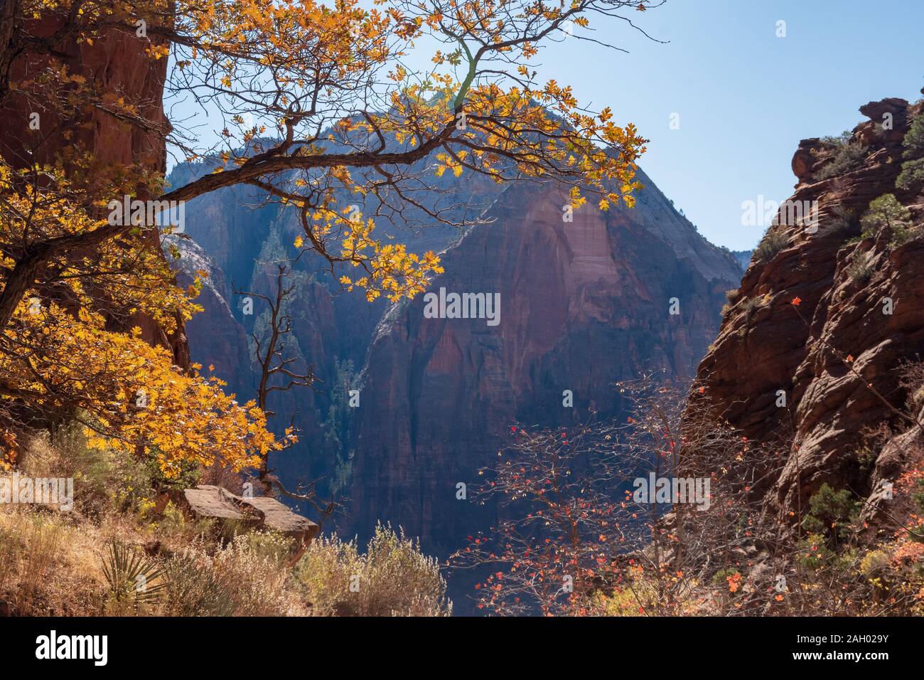 500 px Bild-ID: 1007445186 - Wandern rund um in Zion Stockfoto