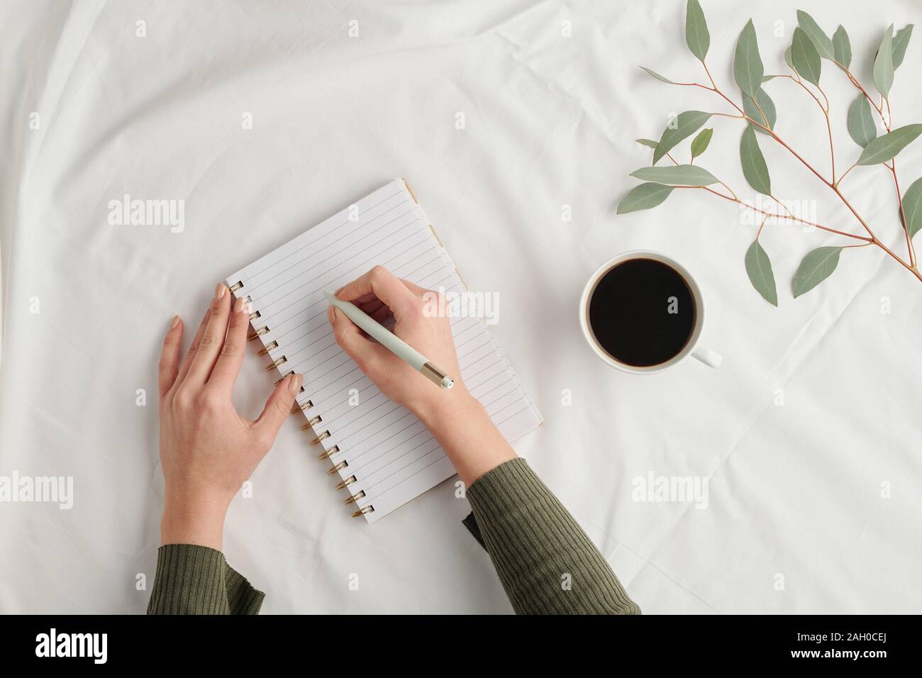 Überblick über die Hände der jungen Geschäftsfrau mit Stift Notizen in Notebook Stockfoto