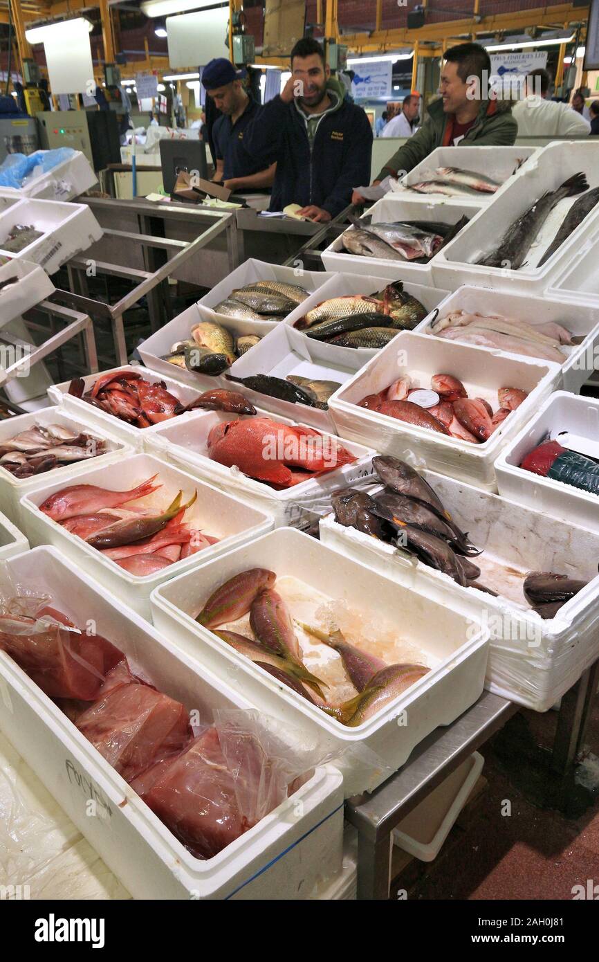 LONDON, Großbritannien - 8. JULI 2016: Händler verkaufen Meer Essen in Billingsgate Fish Market in London, UK. Der Markt befindet sich an der Insel Hunde entfernt und ist einer der größten Stockfoto