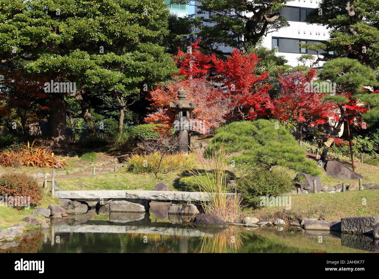 Herbst in Tokio. Japanischer Garten Herbst Farben. Kyu Shiba Rikyu Garten. Stockfoto