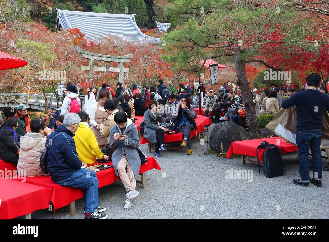 KYOTO, JAPAN - November 24, 2016: die Menschen besuchen Tempel Eikando Zenrinji Teegarten in Kyoto, Japan. 19,7 Millionen ausländischen Touristen besucht Japan im Jahr 2015 Stockfoto