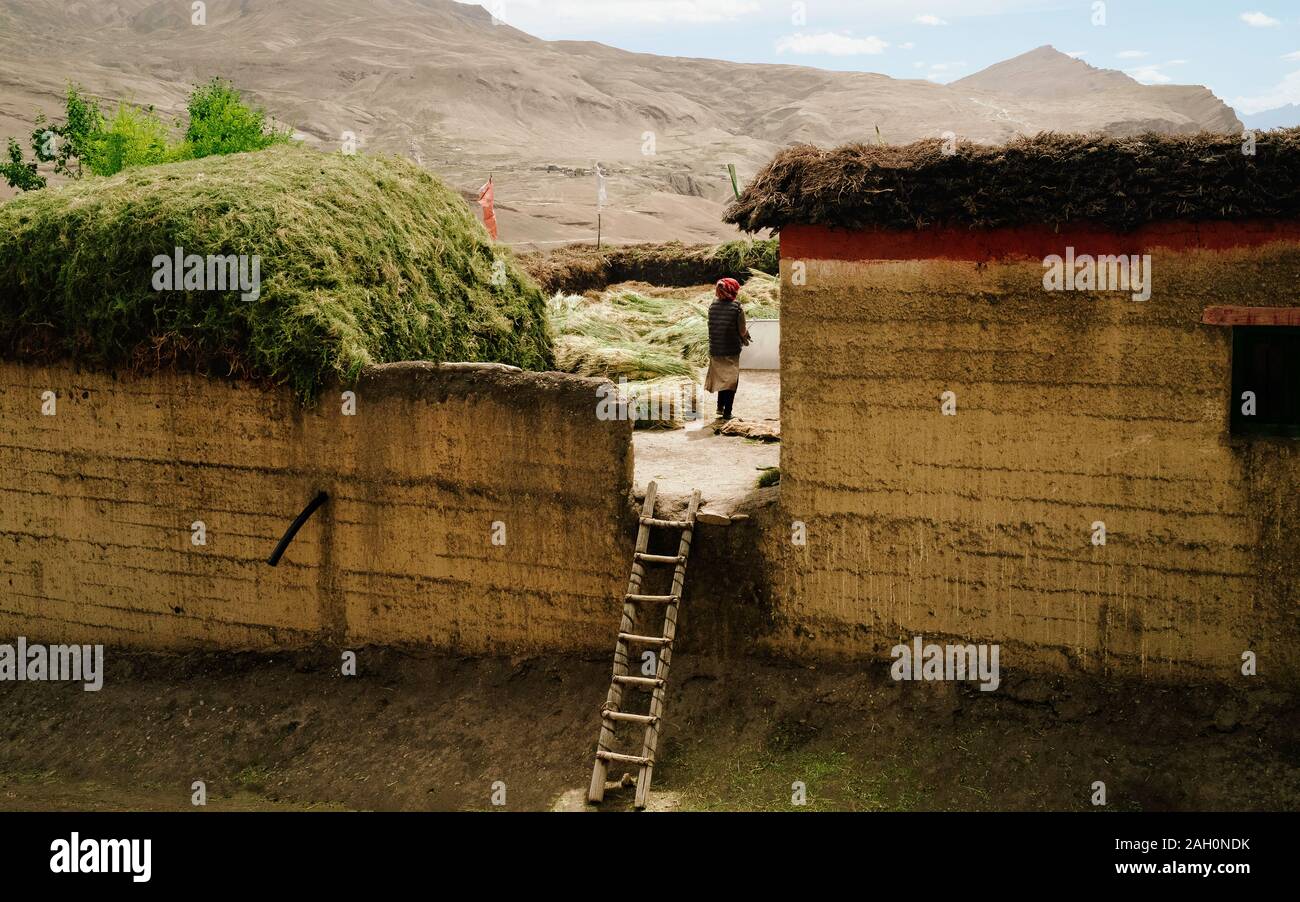 Traditionelles Haus mit Vieh Trockenfutter auf dem Dach und der Frau mit Blick auf ihr Lager in Chicham, Himachal Pradesh, Indien. Stockfoto