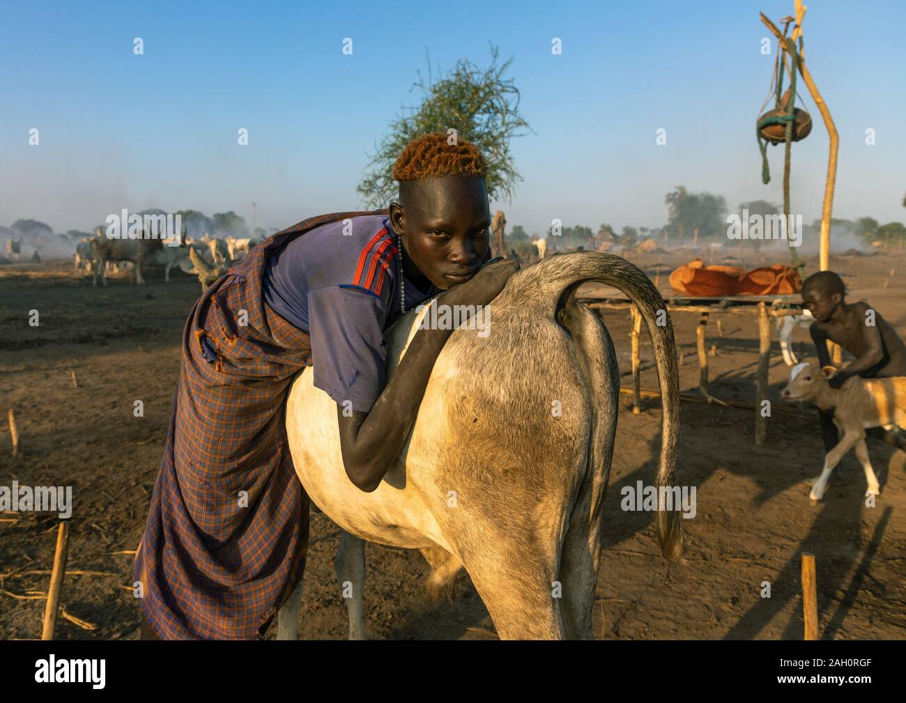 Mundari Stamm Mann lehnte sich auf der Rückseite seiner Kuh, Central Equatoria, Terekeka, South Sudan Stockfoto