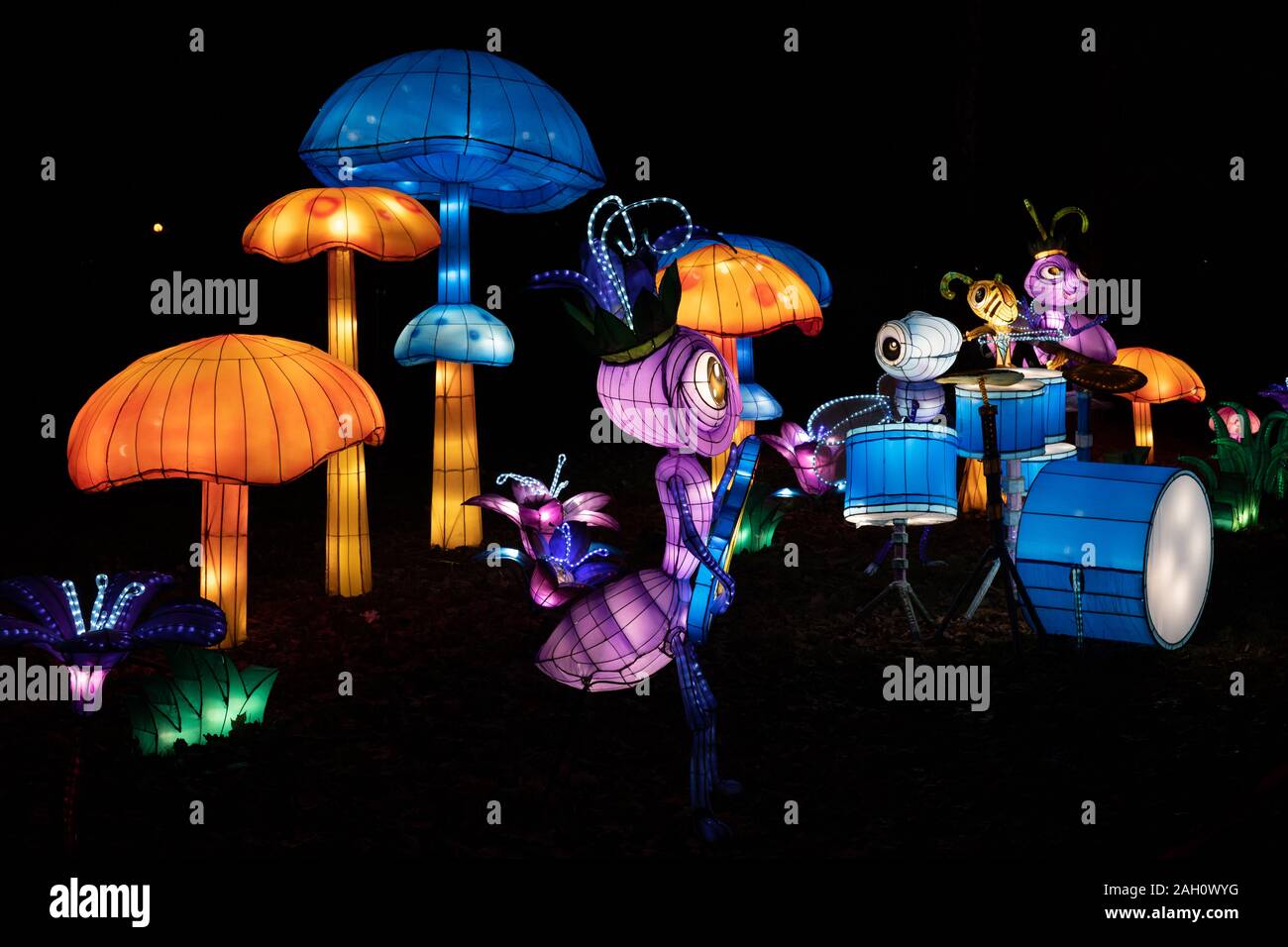 Warschau, Polen - Dezember 16, 2019: Pilze und Insekten band an chinesischen Licht Festival, Nacht beleuchtung Ausstellung in Fort Bema Stockfoto