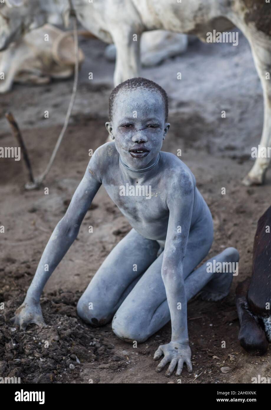 Mundari Stamm junge Sammeln getrocknet Kuh dungs zu machen Lagerfeuer, zur Abwehr von Mücken und Fliegen, Central Equatoria, Terekeka, South Sudan Stockfoto