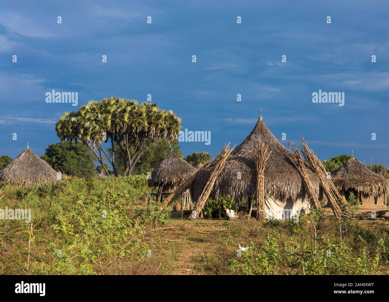 traditionelle-mundari-stamm-dorf-mit-doum-palmen-central-equatoria