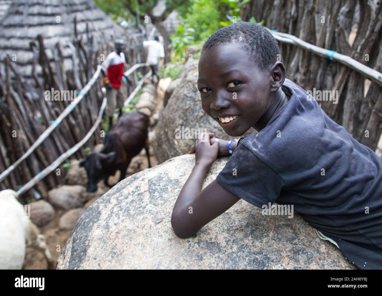 Junge Blick auf Kühe in einer kleinen Gasse eines Lotuko Village, Central Equatoria, Illeu, South Sudan Stockfoto