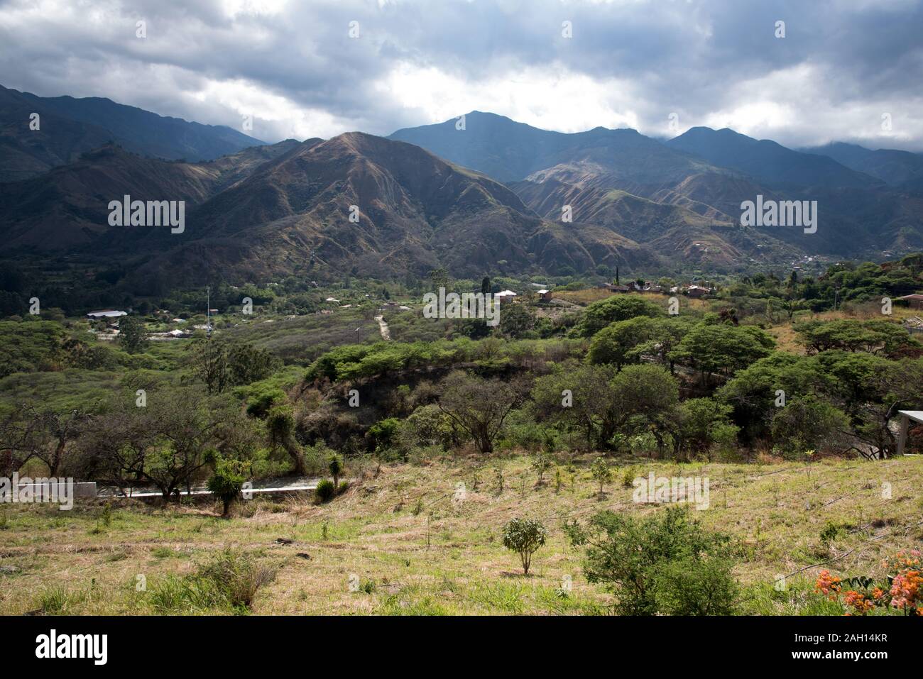 Vilcabamba ist bekannt als das Tal der Langlebigkeit für Menschen, die sehr alt werden. Es liegt in den Anden Ecuadors. Stockfoto