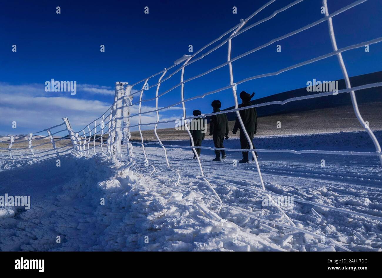 (191223) - Peking, 23 Dezember, 2019 (Xinhua) - Wildlife Management und Conservation Station Mitarbeiter Patrouille in Shuanghu County, im Südwesten Chinas Tibet autonomen Region, Feb 1, 2019. Von der wissenschaftlichen Expedition am See Yamzbog Yumco zu Wildlife Conservation patrol Mission in Shuanghu County in einer durchschnittlichen Höhe von mehr als 5.000 Metern, von einem traditionellen festlichen Pferderennen zu jährlichen Facelift des Potala Palast, die Fotografen von Xinhua die lokalen Menschen im täglichen Leben und Leistungen zur sozialen Entwicklung in Tibet im Jahr 2019 erfasst, das Jahr markiert das 60-jährige Jubiläum der c Stockfoto