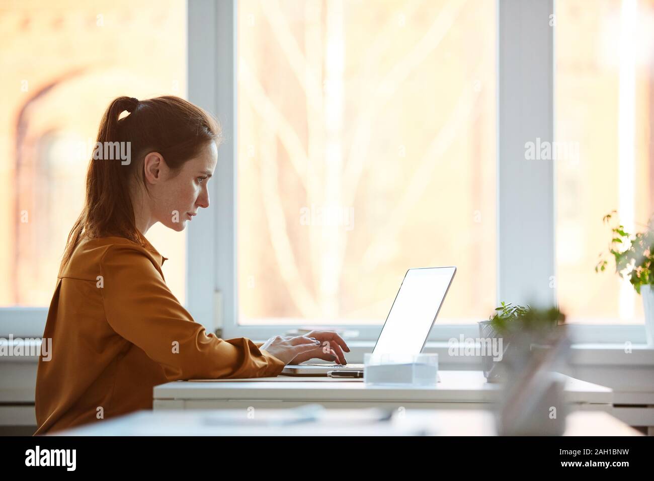 Junge Geschäftsfrau in Braun Bluse sitzt am Schreibtisch und Schreiben auf  Laptop sie online während der Arbeit Tag der Arbeit Stockfotografie - Alamy